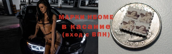 прущие грибы Аркадак