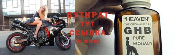прущие грибы Аркадак
