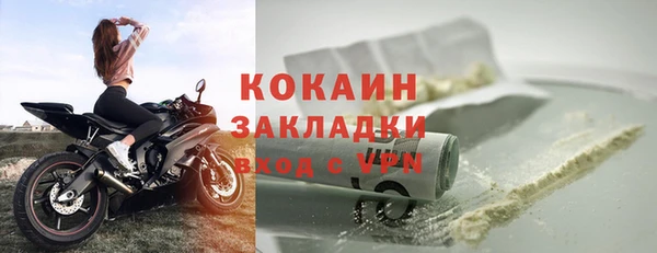 прущие грибы Аркадак