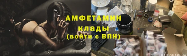 прущие грибы Аркадак