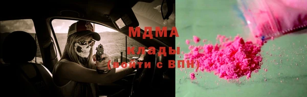 прущие грибы Аркадак