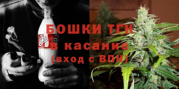 прущие грибы Аркадак